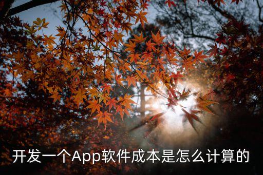 开发一个App软件成本是怎么计算的