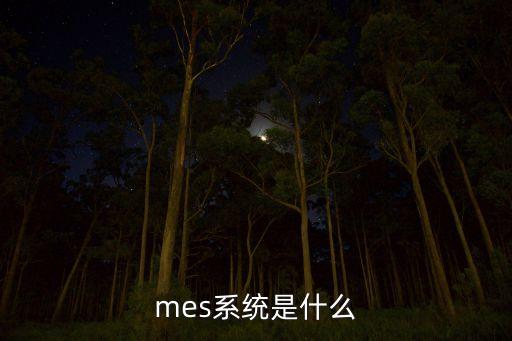 mes系统是什么