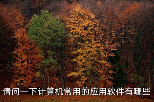 目前常见的系统软件是哪些