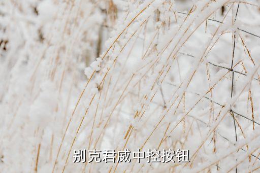 别克车辆系统软件,别克车机系统怎么下载?