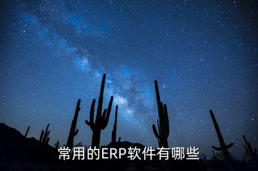 常用的ERP软件有哪些