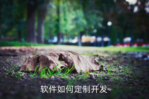 软件如何定制开发
