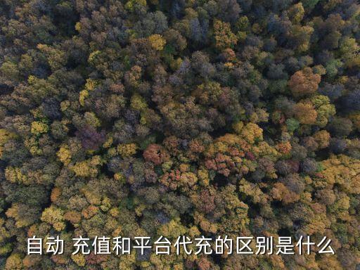 酸奶店充值系统软件有哪些,系统自动充值:支持7x24小时充值也有脱机版