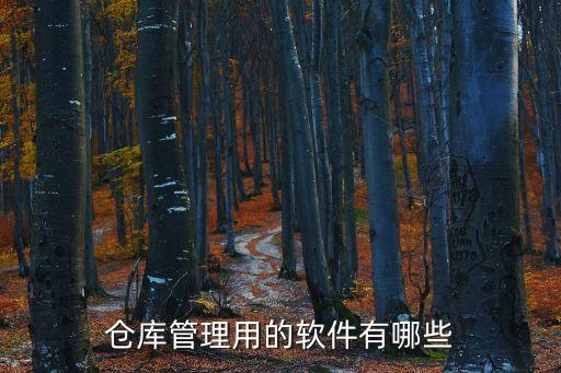 仓库管理用的软件有哪些