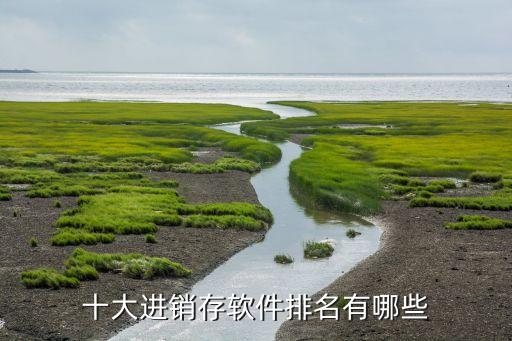 红桥销售系统软件选哪家