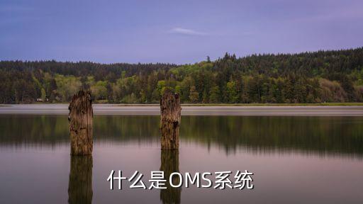 企业订单管理系统软件,企业订单管理系统需要哪些软件?一粒云推荐