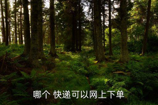 哪个 快递可以网上下单