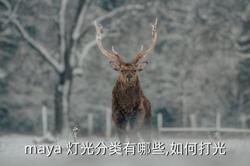 maya 灯光分类有哪些,如何打光