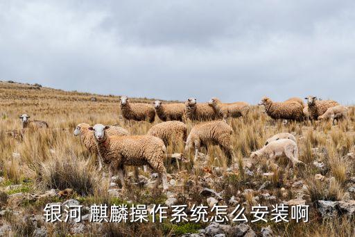 银河 麒麟操作系统怎么安装啊