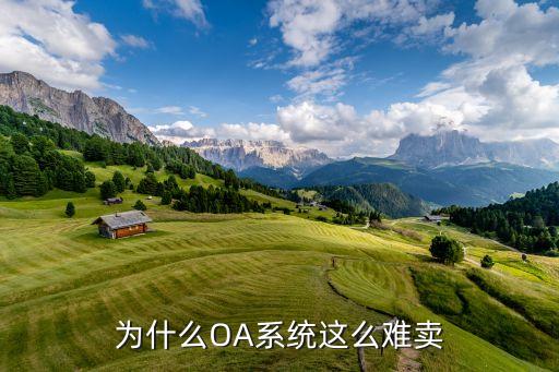 为什么OA系统这么难卖