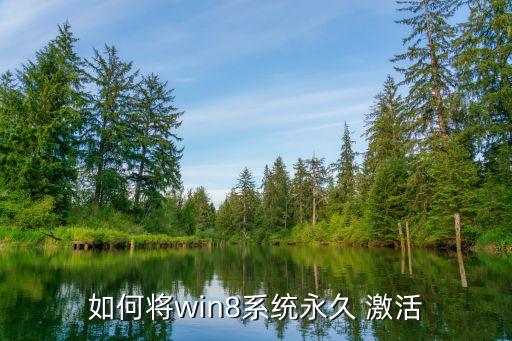 如何将win8系统永久 激活