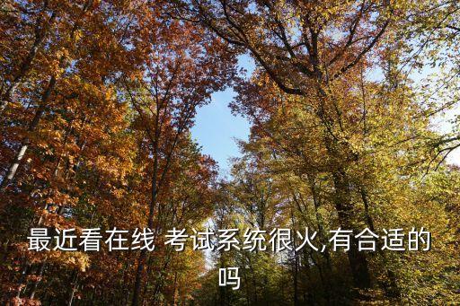最近看在线 考试系统很火,有合适的吗