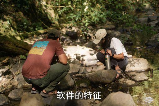 软件的特征