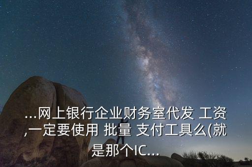 ...网上银行企业财务室代发 工资,一定要使用 批量 支付工具么(就是那个IC...