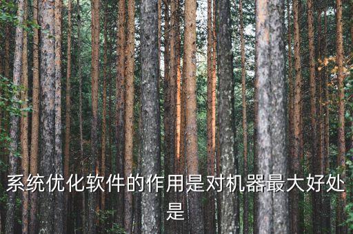 系统优化软件的作用是对机器最大好处是