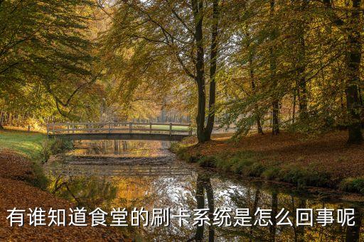 有谁知道食堂的刷卡系统是怎么回事呢