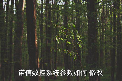 诺信数控系统参数如何 修改