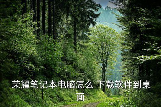  荣耀笔记本电脑怎么 下载软件到桌面