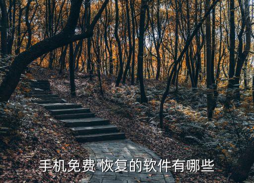 手机免费 恢复的软件有哪些