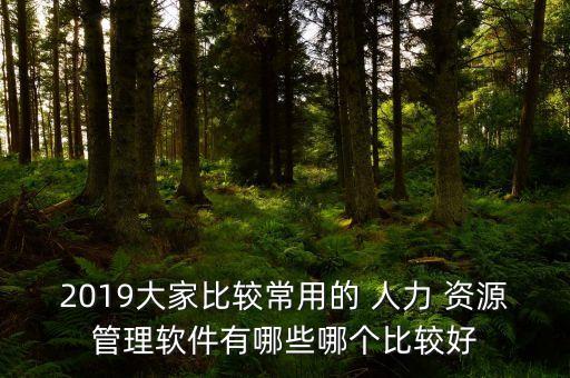 2019大家比较常用的 人力 资源管理软件有哪些哪个比较好