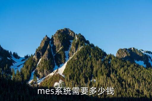 mes系统需要多少钱