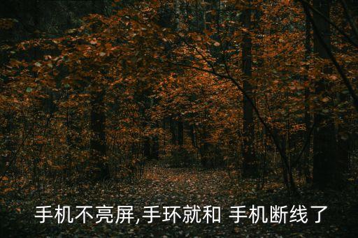  手机不亮屏,手环就和 手机断线了