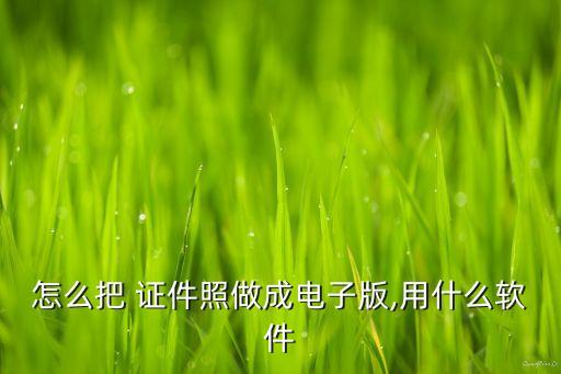 怎么把 证件照做成电子版,用什么软件