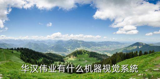 华汉伟业有什么机器视觉系统