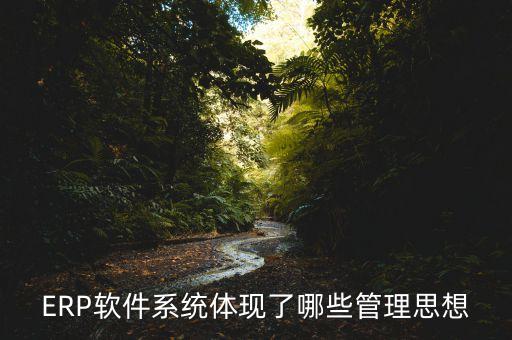 ERP软件系统体现了哪些管理思想