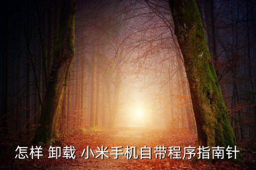怎样 卸载 小米手机自带程序指南针