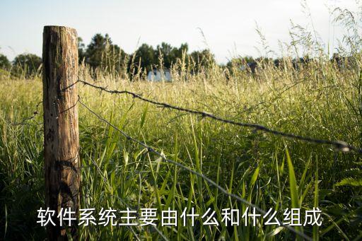 软件系统主要由什么和什么组成