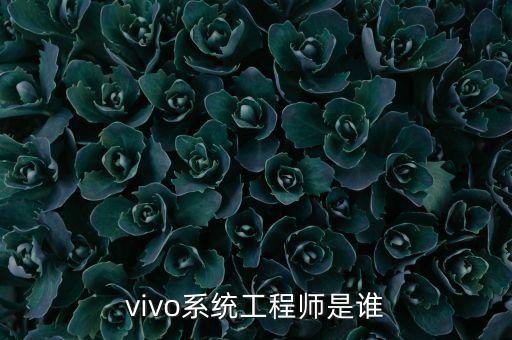 vivo系统工程师是谁