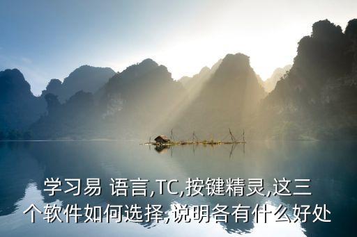 学习易 语言,TC,按键精灵,这三个软件如何选择,说明各有什么好处