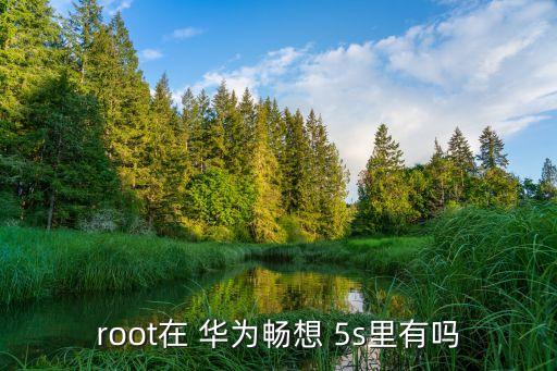 root在 华为畅想 5s里有吗
