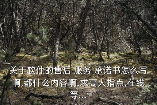 关于软件的售后 服务 承诺书怎么写啊,都什么内容啊,求高人指点,在线等...