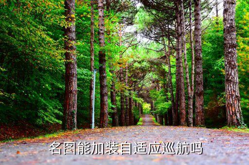  名图能加装自适应巡航吗