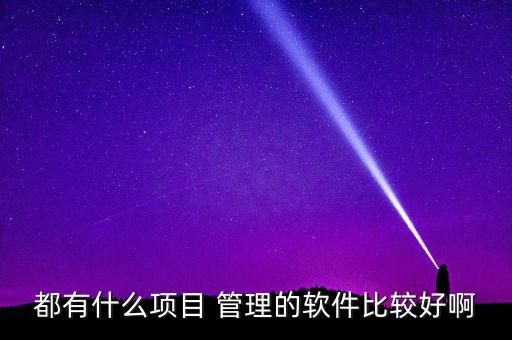 都有什么项目 管理的软件比较好啊