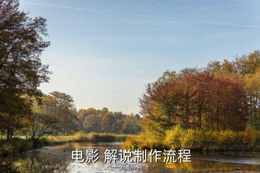  电影 解说制作流程