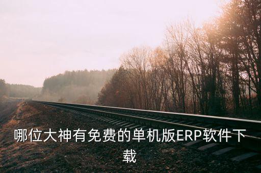 哪位大神有免费的单机版ERP软件下载