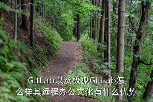 GitLab以及极狐GitLab怎么样其远程办公文化有什么优势