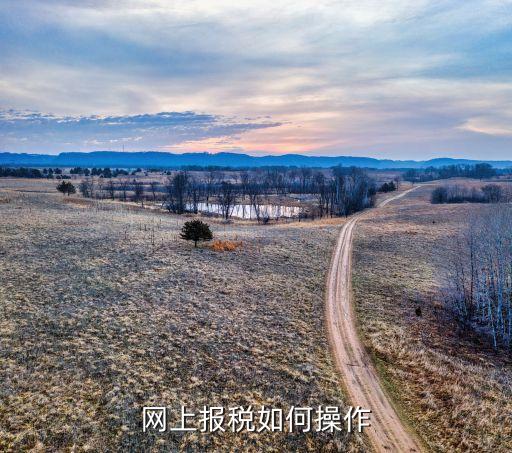 网上报税如何操作