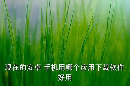 现在的安卓 手机用哪个应用下载软件好用