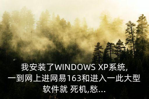 我安装了WINDOWS XP系统,一到网上进网易163和进入一此大型软件就 死机,愁...
