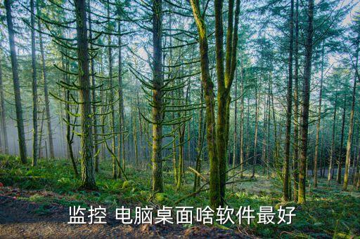  监控 电脑桌面啥软件最好