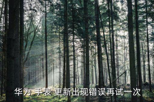 华为手表哪里更新系统软件,华为watch3新手表系统更新太多次了