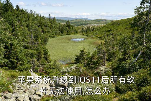  苹果系统升级到iOS11后所有软件无法使用,怎么办