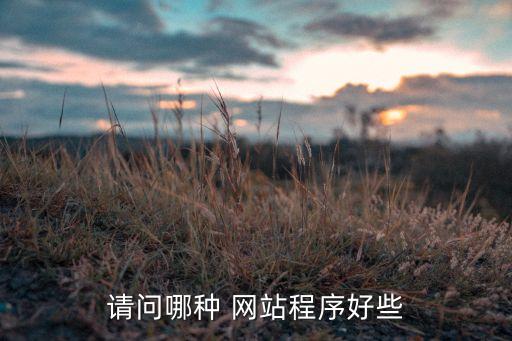 请问哪种 网站程序好些