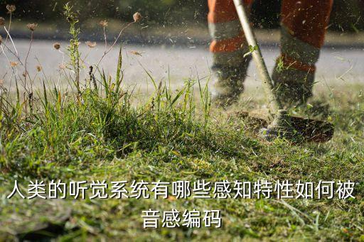 人类的听觉系统有哪些感知特性如何被音感编码