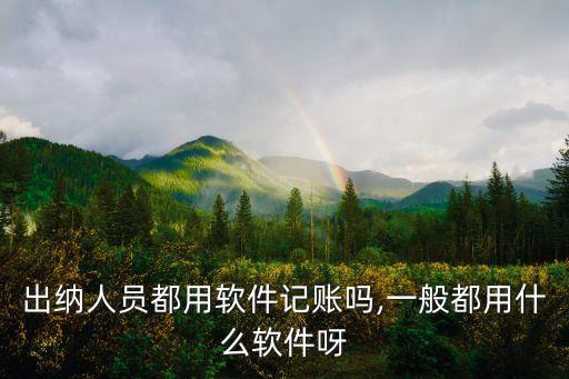 出纳人员都用软件记账吗,一般都用什么软件呀