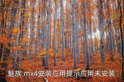 魅族 mx4安装应用提示应用未安装
